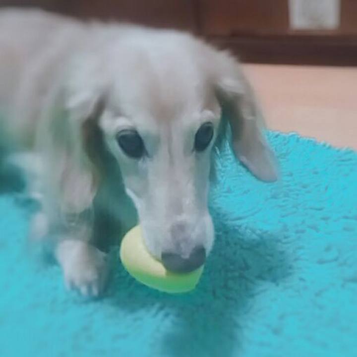 91371224 19a6 4545 b336 62dc2f832ef5 1544711058468