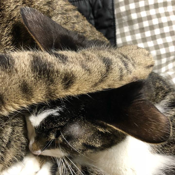 913724ec f326 441c a1b1 a81b1cbfbe97 1520659539809