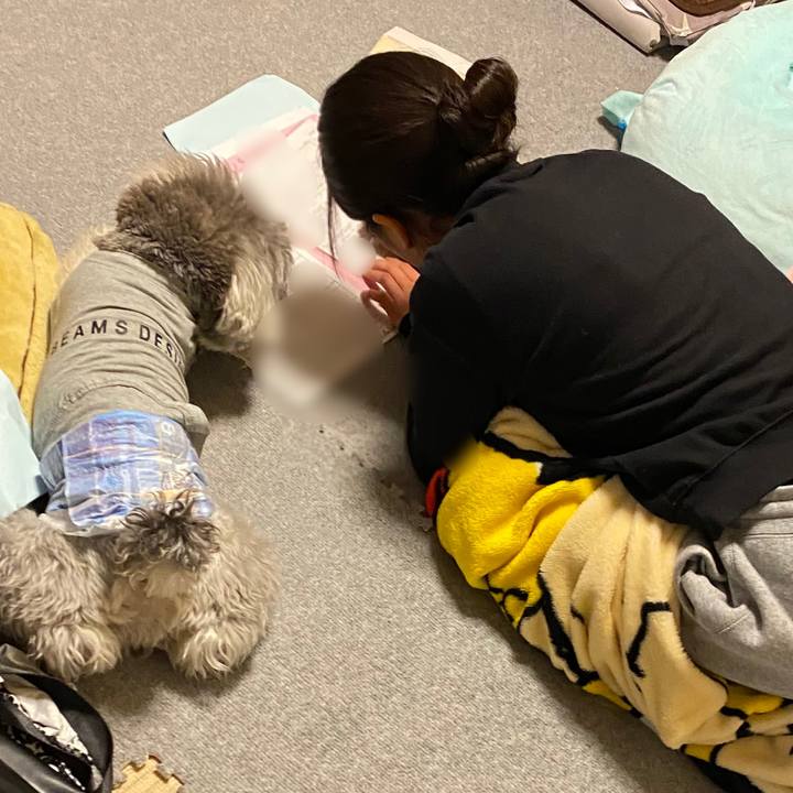 91373c50 dcf3 4c88 a74d f1276b1a763b 1614699708113