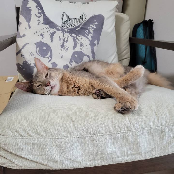 9137724e 0553 4a05 ad37 c720caf6ead2 1629110420533