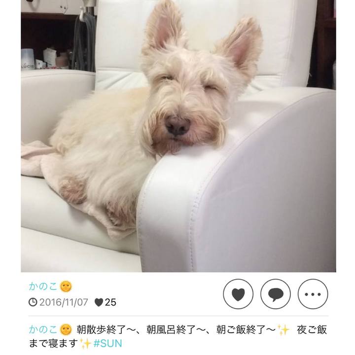 913791ad 2fc6 4747 9d60 781ec2a7313a 1636620764856