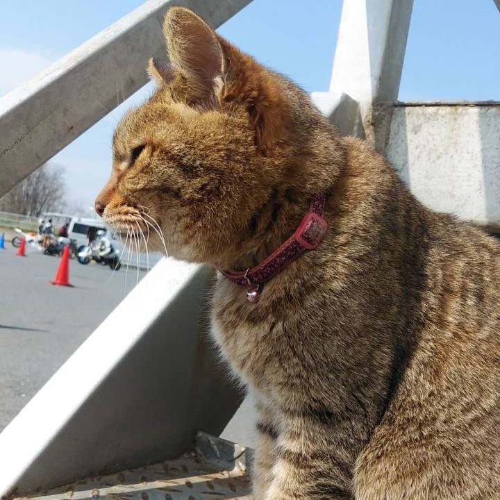 91379dc9 17df 4630 9d5d 8b7caa0fcdbb 1585898685491