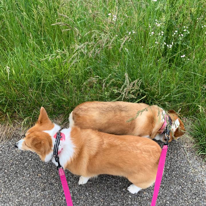 9137c959 43f0 43a0 a0cb fbe7a310277b 1557825587704