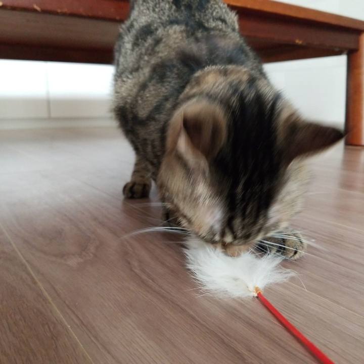 91383586 eac8 4328 8082 cd3d04186b23 1567905361726