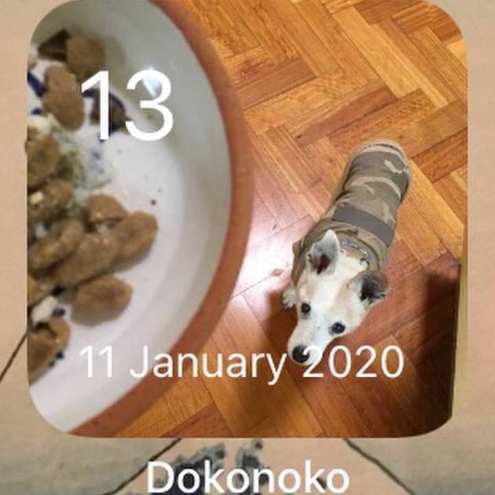 91386992 8112 410a 9515 4741a7bf69d3 1768347032323