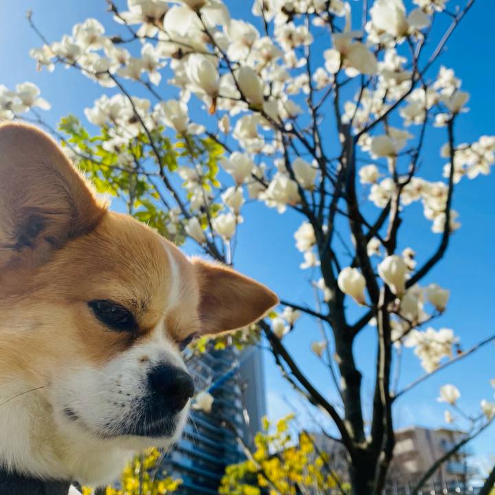 91386ea3 01b7 46ee 874c 4abc9596244b 1647657349166