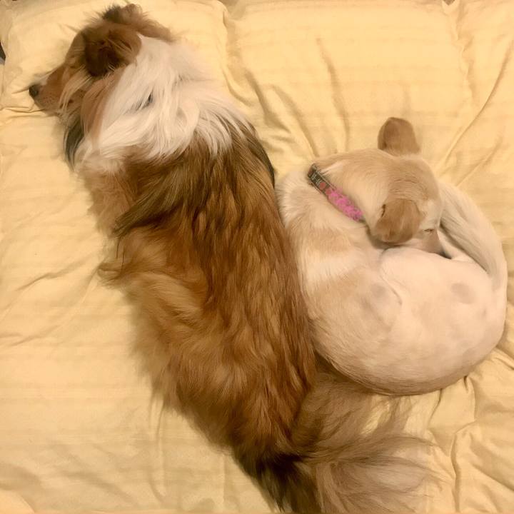 91391901 0391 453b a1f7 5412b7768687 1583070183089