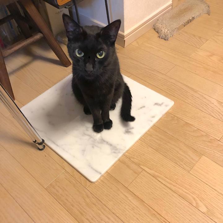 91397107 e0ae 40e8 9c6c dff4cbfc1850 1565958044183