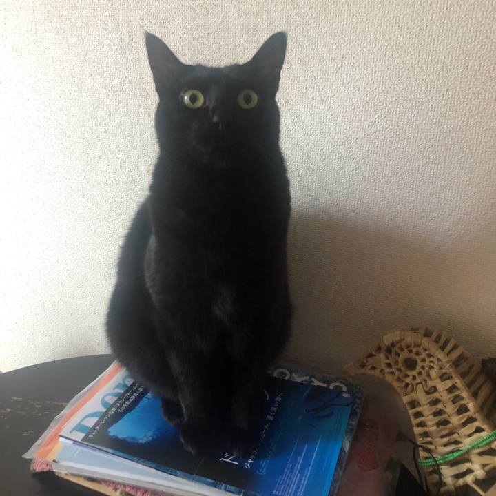 91397864 8d03 4e82 b10d 698dfe17d5e9 1575683979243