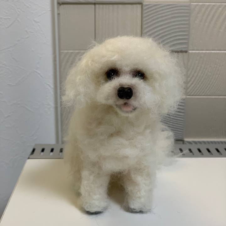 91397ef3 ae05 4a0c 975c 0cb868d567fc 1576847891142