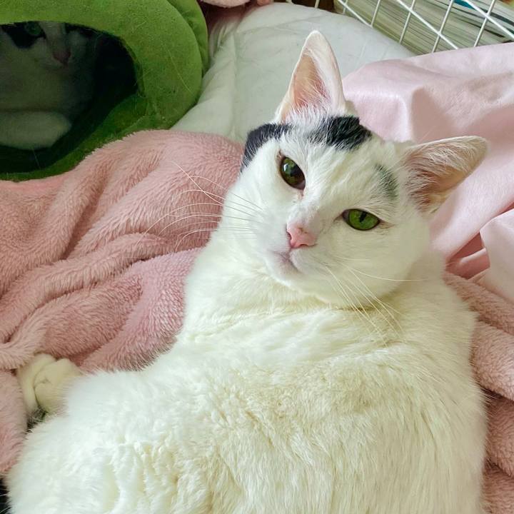 91399513 adbf 45dc 8e54 43aa3da09130 1710133896185