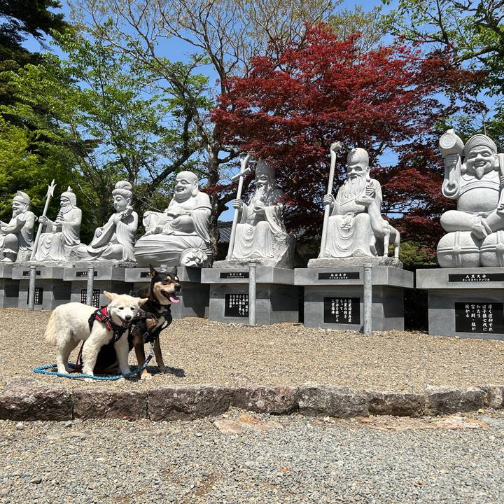 913a18a8 d0df 4f3f b68f ae78b82921ff 1746529862602