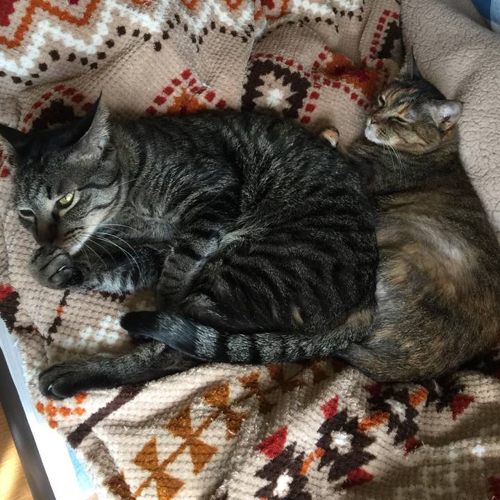 913a5d92 d46e 4b4a ba42 b8ba08f4a8cf 1587728939895