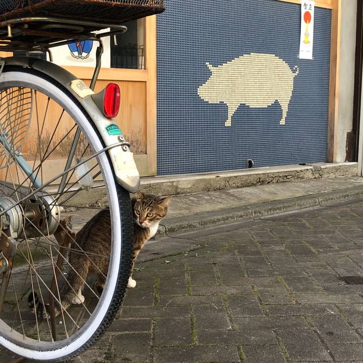 913a6ce6 bc31 4bbc acce 59588a6cbc70 1610458336171