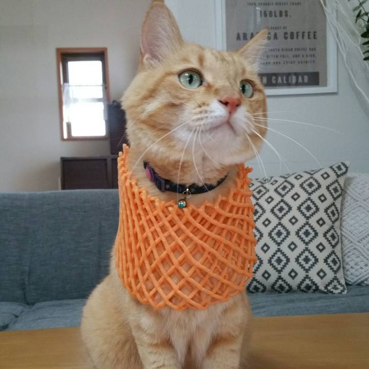 913aa653 8ac2 4196 b8f7 c214c7ae2915 1563861241544