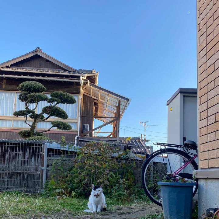 913aba9f 7937 4af0 bff8 f161bee02b44 1639061572198