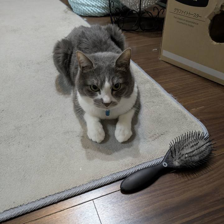 913b2a65 f472 481b a4ca be3983df3a2b 1774704325051