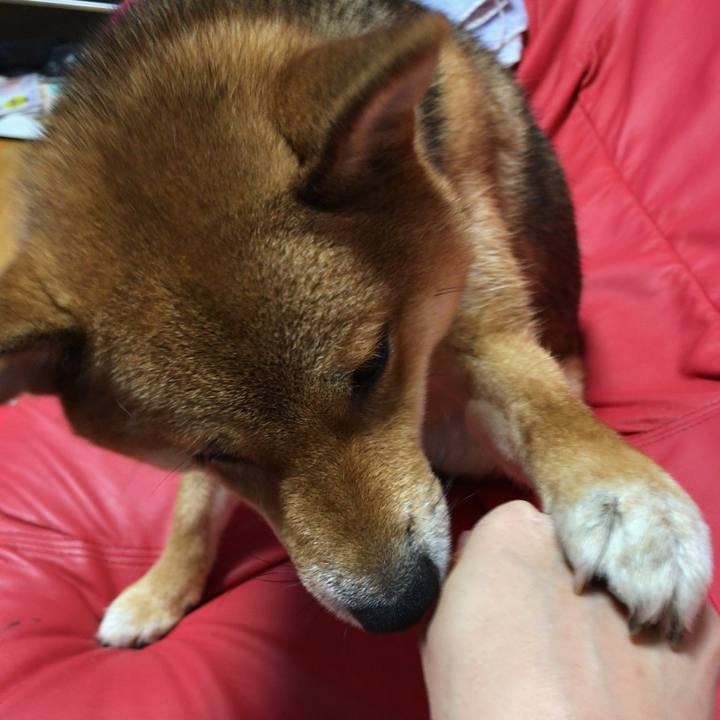 913b2c85 d427 45d7 8619 8945175cef61 1528106341718