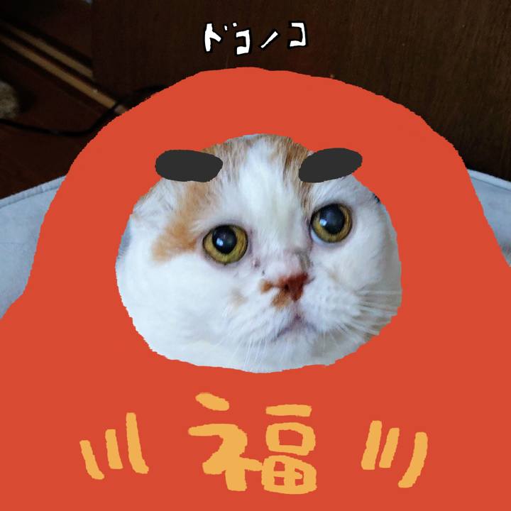 913b66af b8a5 4858 868c 52423e00caf7 1772168703268