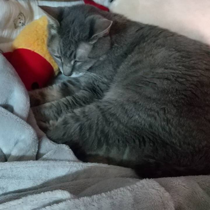 913b6732 f86d 4426 aa52 43c5360caf1b 1697065294828