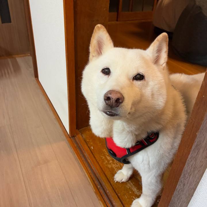 913b92da e7c7 47ad 9bbb 0273c707709f 1766148178314