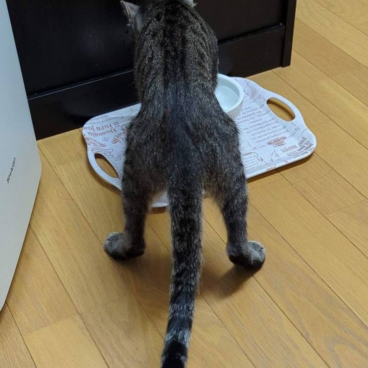 913b9752 1047 4ec7 8ffa 4b28af0ae30b 1709788307291