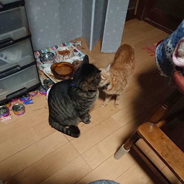 913b98b3 13c6 411f bd2f 168ee6b56607 1643318673818