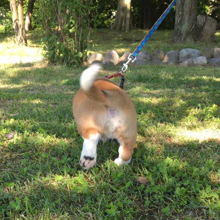 913bbead ae32 4156 a2d7 eec24b1c61fa 1590712704540