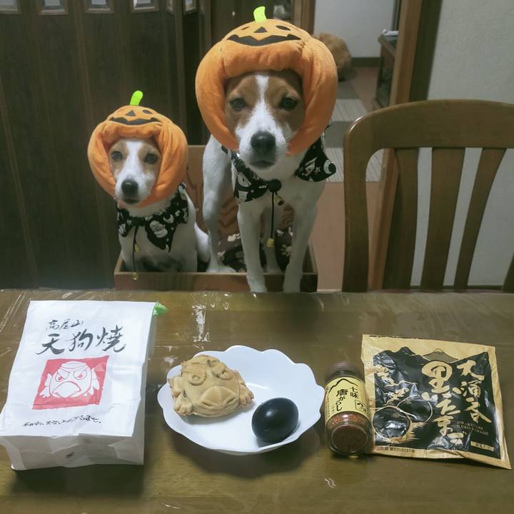 913bd2c2 c400 4937 83b8 29aa32cf17c0 1761895874689