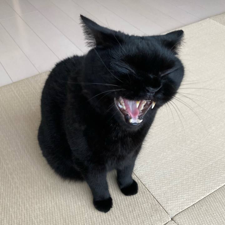 913bd43c ebab 431d aede ca3ba57d0020 1658131793066