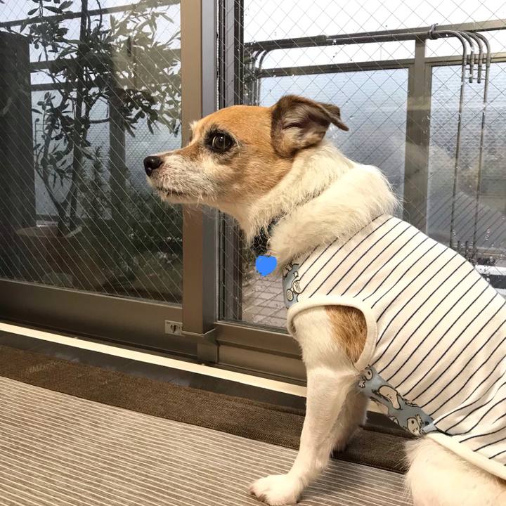 913bea83 2292 4989 b7ad 0697fc975fd1 1567980176040