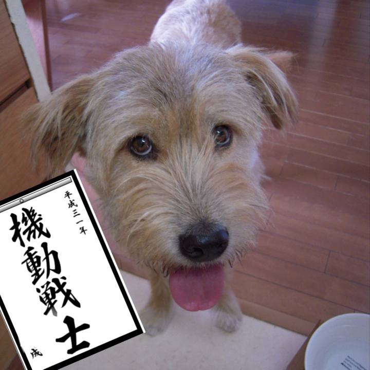 913c4746 1678 4851 a380 7d7ebb4f896e 1546855445420