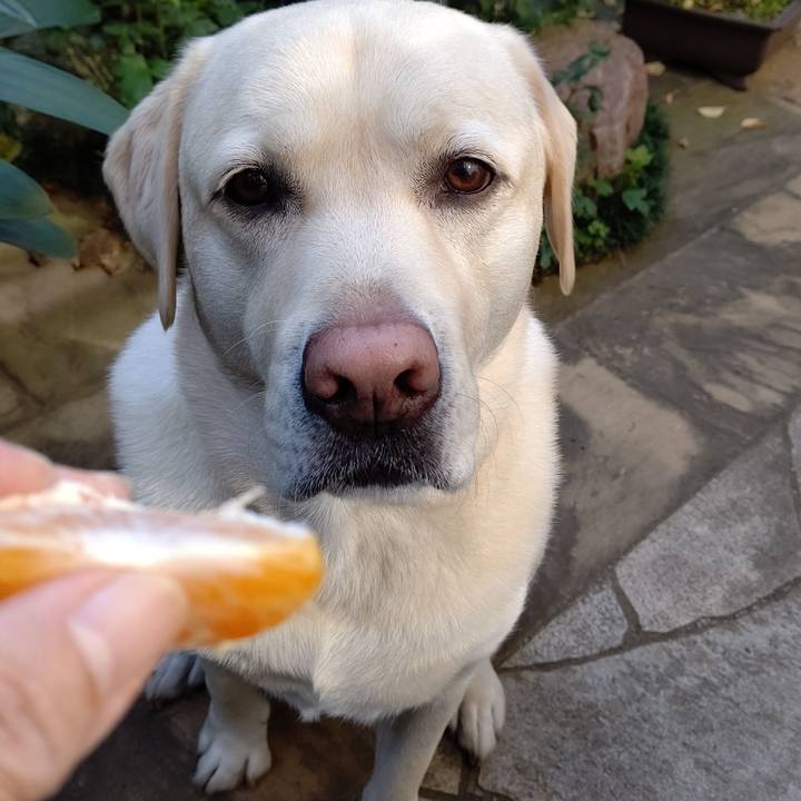 913c7f7c 6de9 4b1c a60c f4a7b3874e21 1604199093430