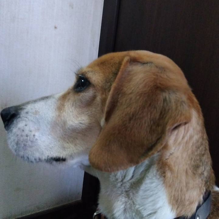 913c800e 41e6 479c 9e3d 4cb7cf5aa8e2 1685014453843