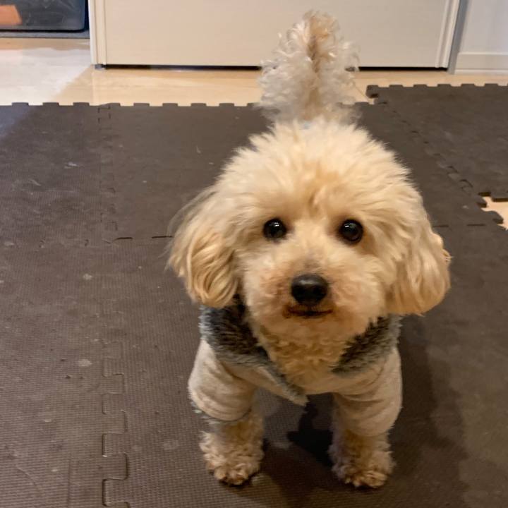 913c8ef9 31c7 402b 8121 133ef22b2f6f 1551133867756