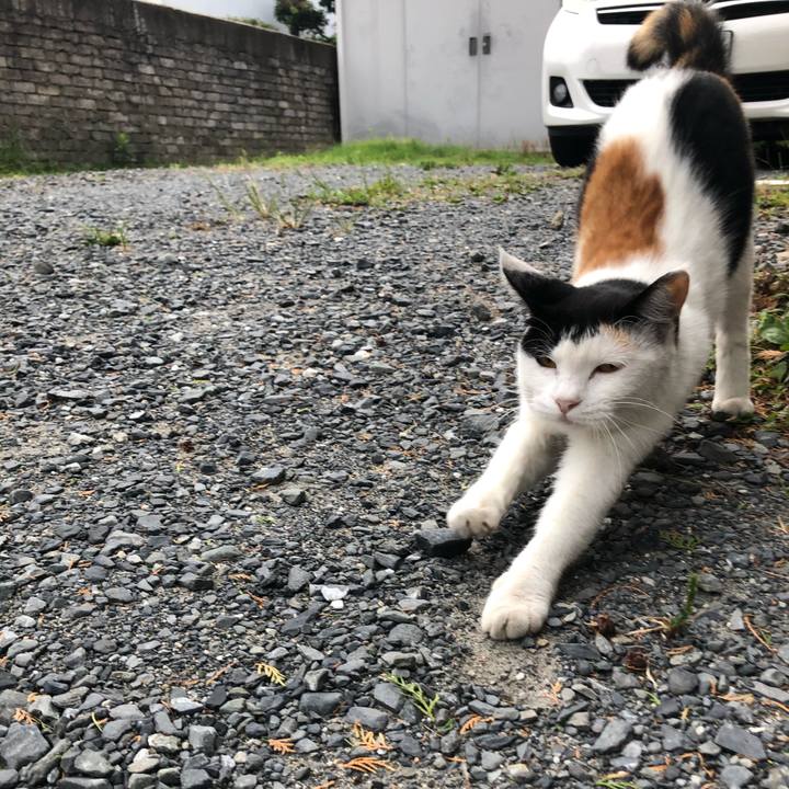 913ca3e3 a1d1 43d3 9896 e39791f6df34 1599603594091