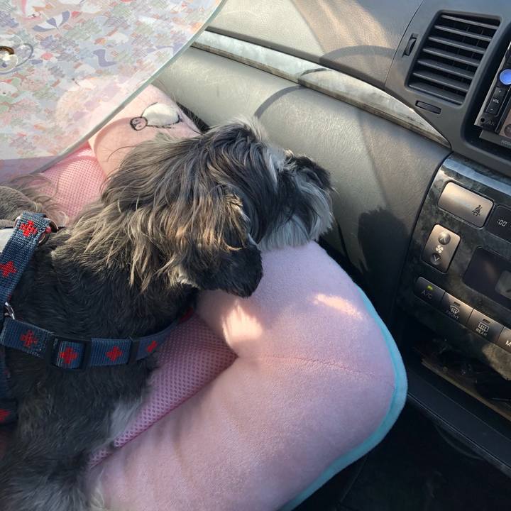 913cad37 887d 4c3e 9060 6a0988630374 1649584473137