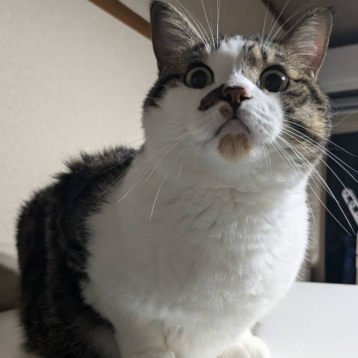 913ccccd 1d18 42af a965 59009cc2304a 1725281959094