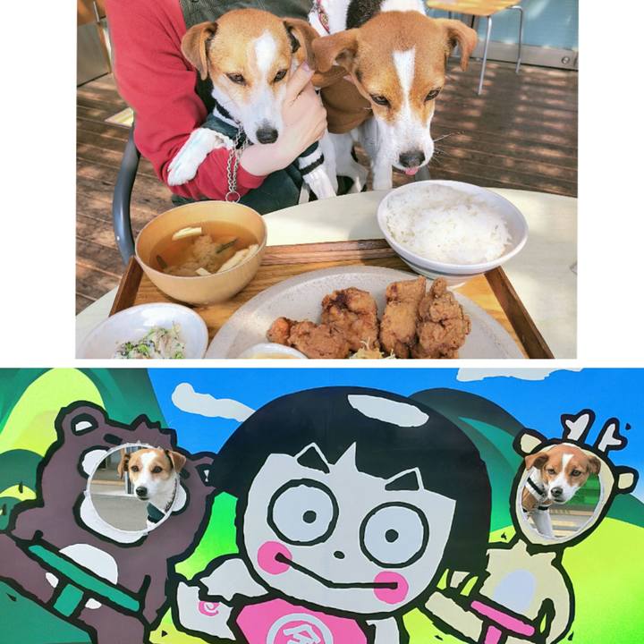 913cf3e8 f42d 4dea 945a 62352652696c 1773656208374