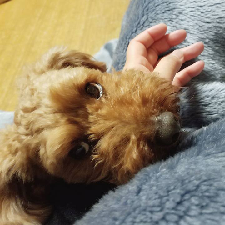 913d18ec 5232 4df2 a878 a5bf25ca1483 1513291519130