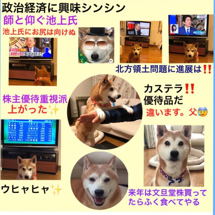 913d2082 8261 43a7 be86 4d06f70c7482 1510849764534