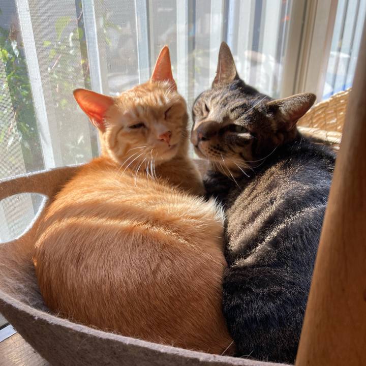 913d3334 a0a2 4103 8fec 6ff25555f3ac 1763774222792