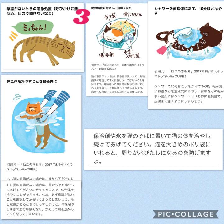 913d5232 0ed2 4354 a076 295e4c954682 1531854723173