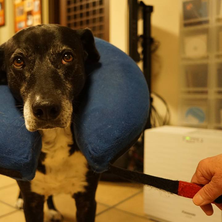 913d6a60 2d4c 462c bb6a 0409f5e0d2bd 1768568650968