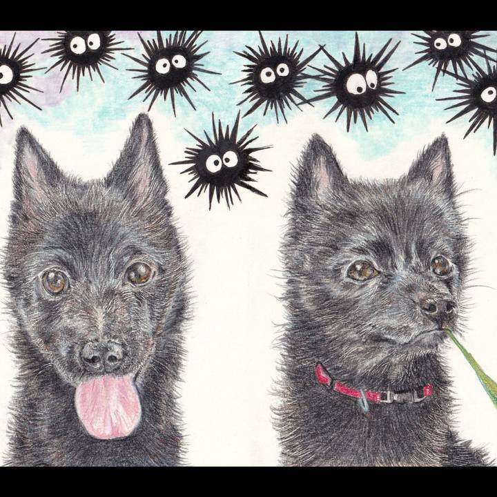 913d73e0 6ddd 4308 a6d7 5817ad1d4260 1661169220578