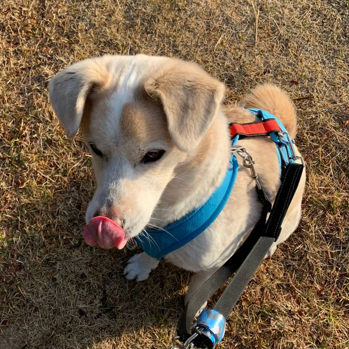 913d9946 1ec2 4c1b bb7a 9bd275c21885 1642297404693