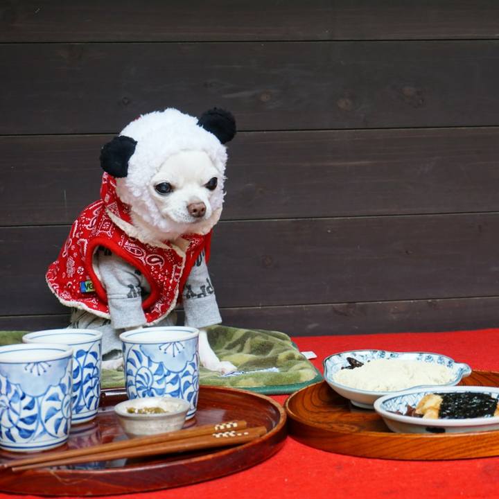 913db6c2 c9a0 4d3f a0ef 959789ca749a 1541066761742