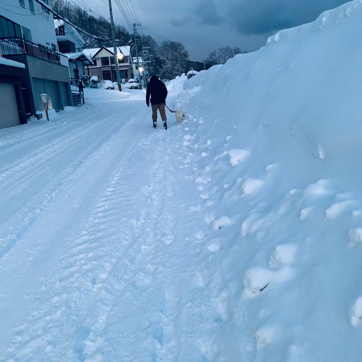 913dbf0e ec61 488d 8d2c d84e7c9e14e7 1672783859394