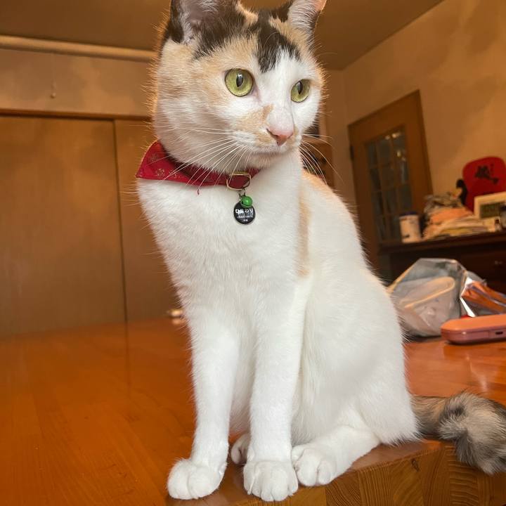 913dcc02 c5b4 4480 856f 876d7ba39645 1711329082391