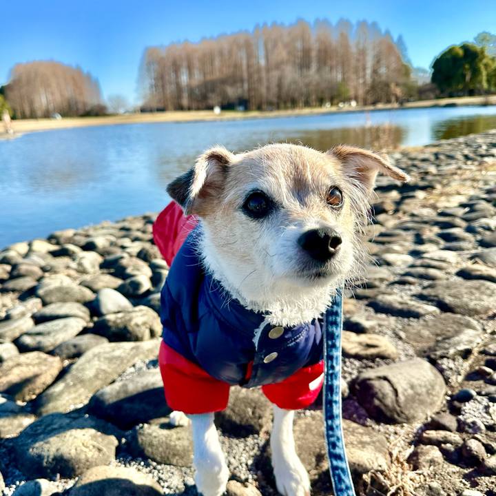 913df2d4 a333 49f2 9005 3b1a15ac5b93 1706343914894